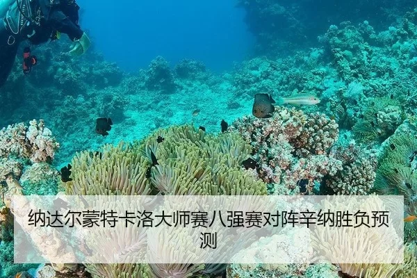 na-da-er-meng-te-ka-luo-da-shi-sai-ba-qiang-sai-dui-zhen-xin-na-sheng-fu-yu-ce-1-128.jpg